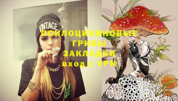 экстази Арсеньев