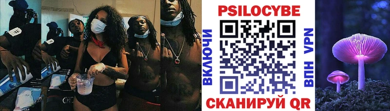 Галлюциногенные грибы Psilocybe  Петровск 